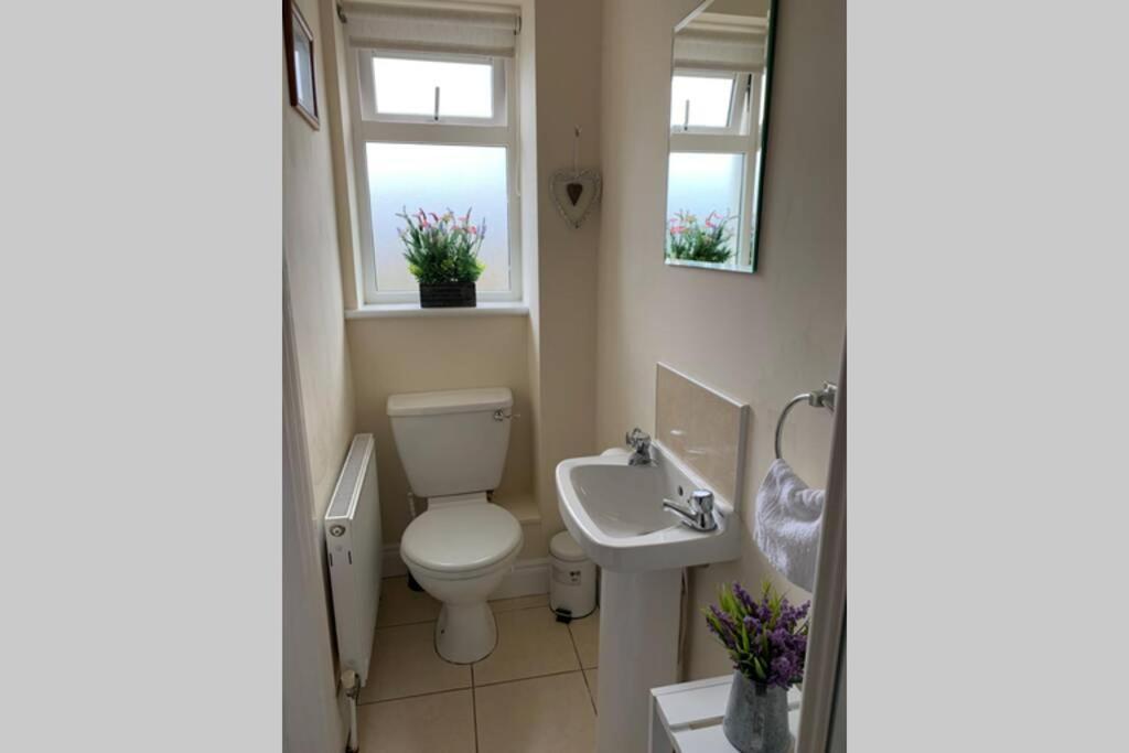 Two Bedroom Town House Beside The River Barrow Carlow Ngoại thất bức ảnh
