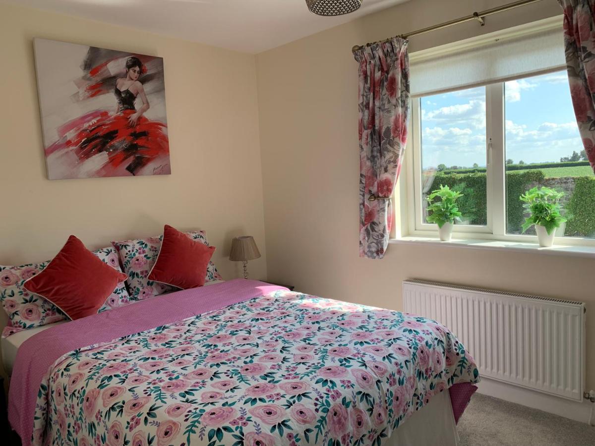 Two Bedroom Town House Beside The River Barrow Carlow Ngoại thất bức ảnh